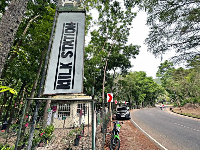 Barili Milk Station. Otherwise known as Molave Milk Station.