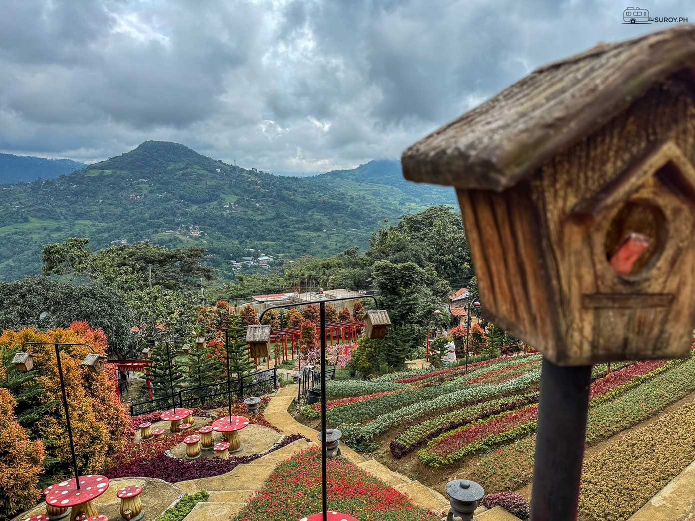 Sachiko's Little Kyoto: Experience Japan in Cebu - Suroy.ph