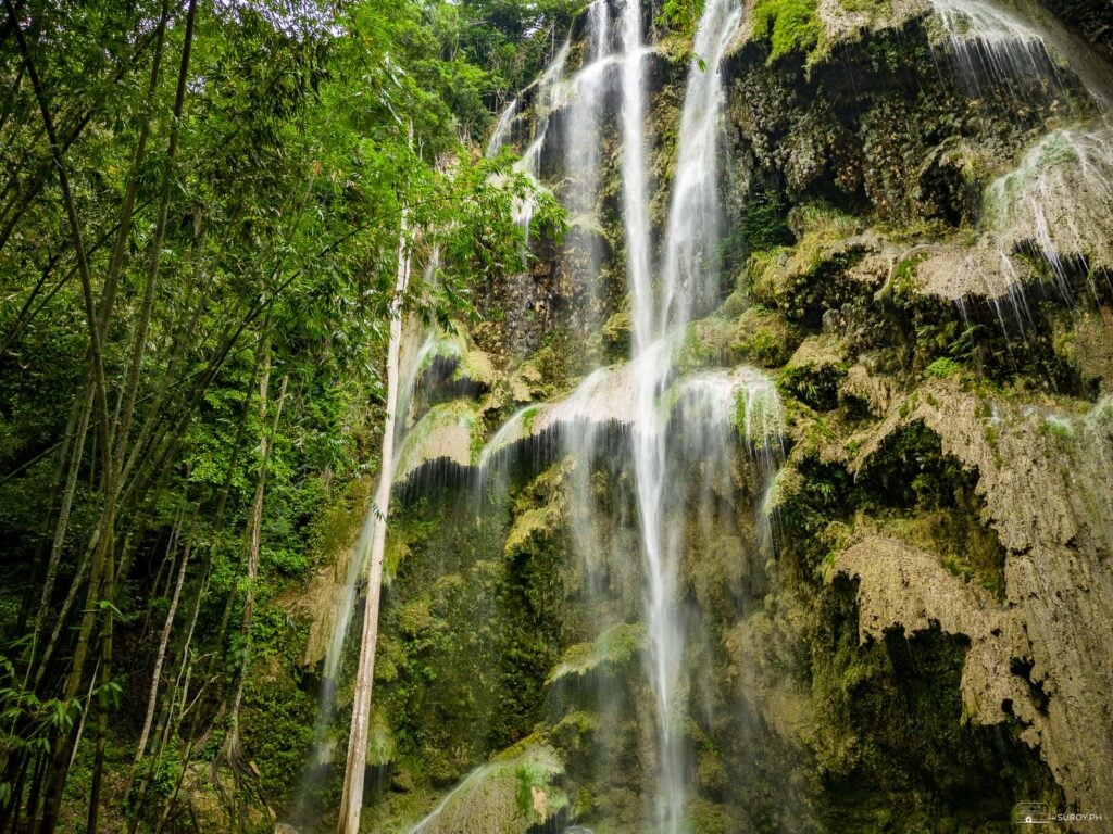 Tumalog Falls seen through tall bamboo, the water falling as a thin veil down a mossy cliff
