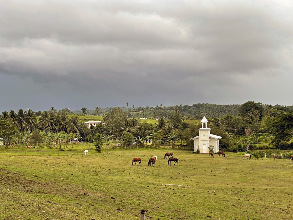 The view is from Barili Milk Station, where horses and other animals can be seen. 