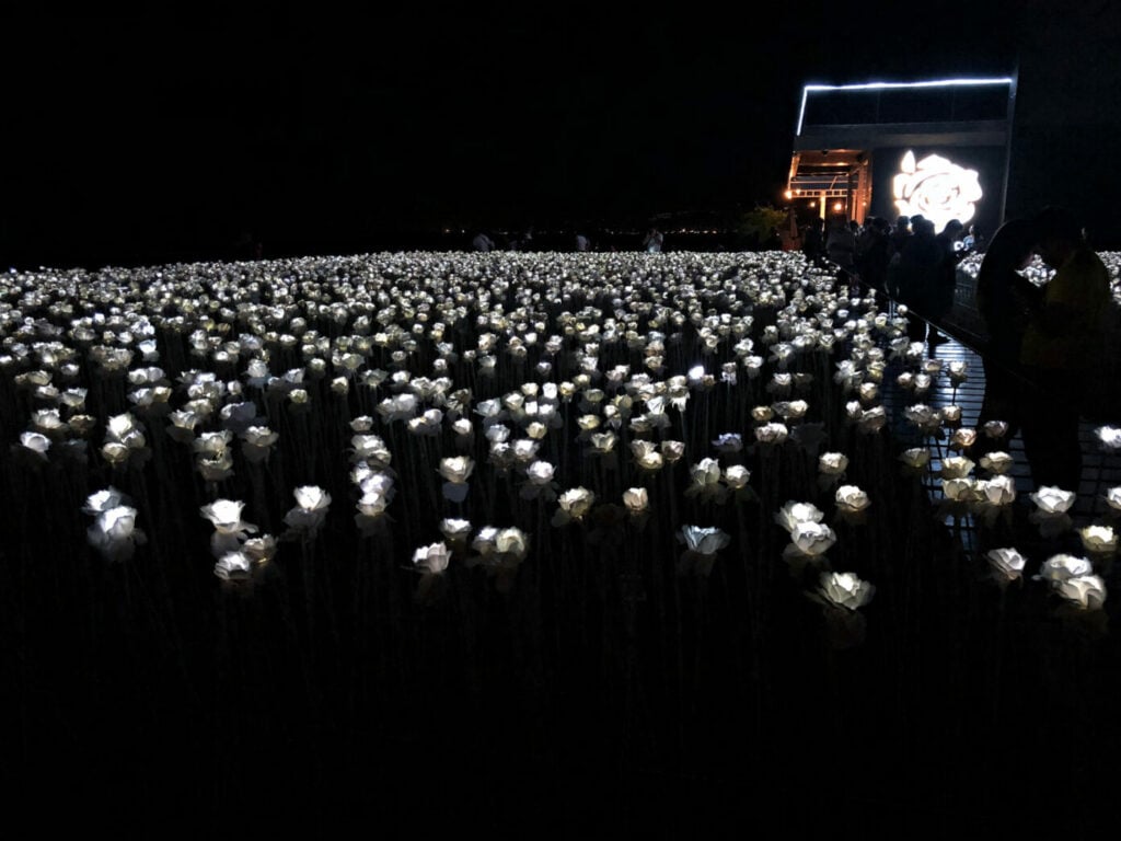 A Sea of Light: As night falls, the 10,000 Roses Cafe transforms into a magical landscape, with each LED rose glowing softly to create an enchanting atmosphere.
