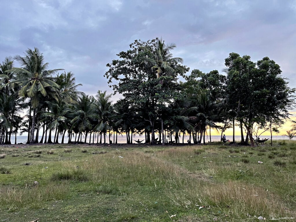 The Maze is just a few meters away from the ocean where you can sit back and meditate. 