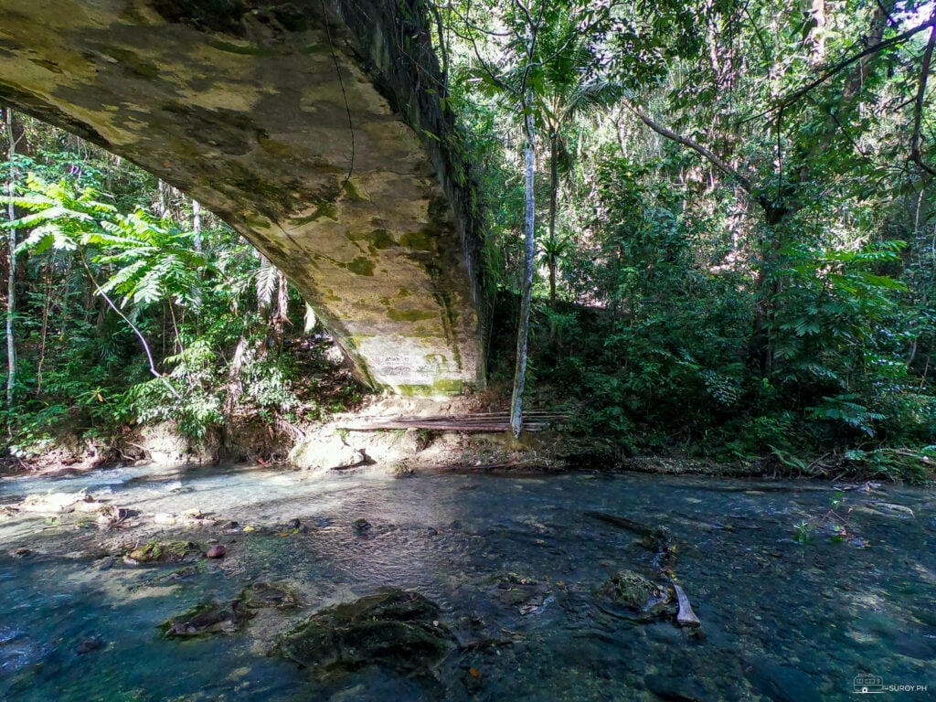 The famous old stone arch bridge in Kawasan Falls. The bridge has survived several earthquakes but remains undamaged. 