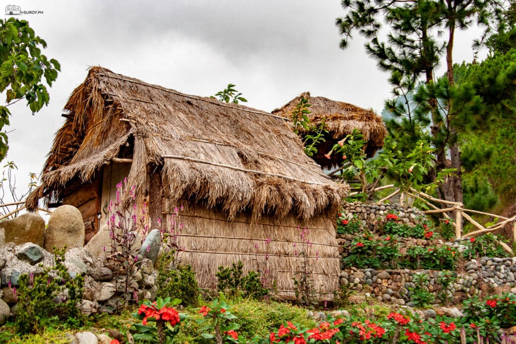 The unique charm and culture at Tam-An Village.