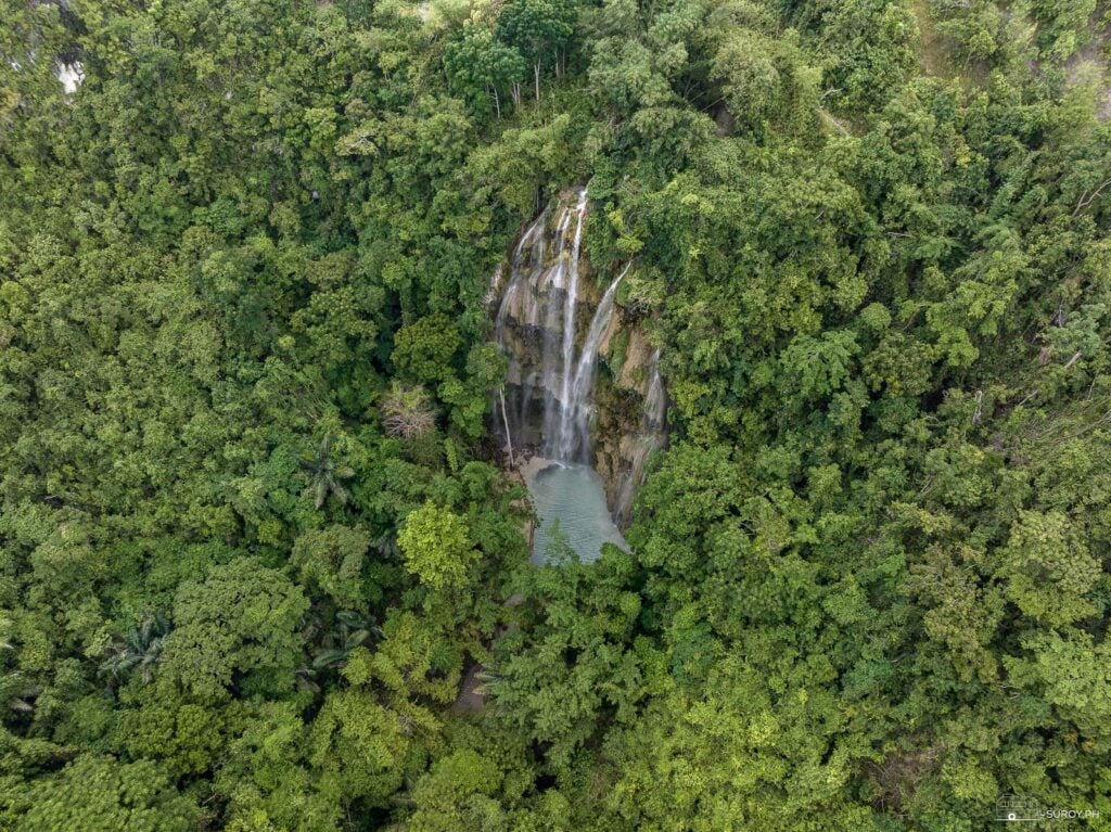 The falls is surrounded by vast greenery. 