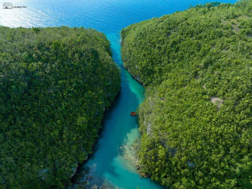 The end of the Bojo River Cruise adventure where the river merges with the Tañon Strait.