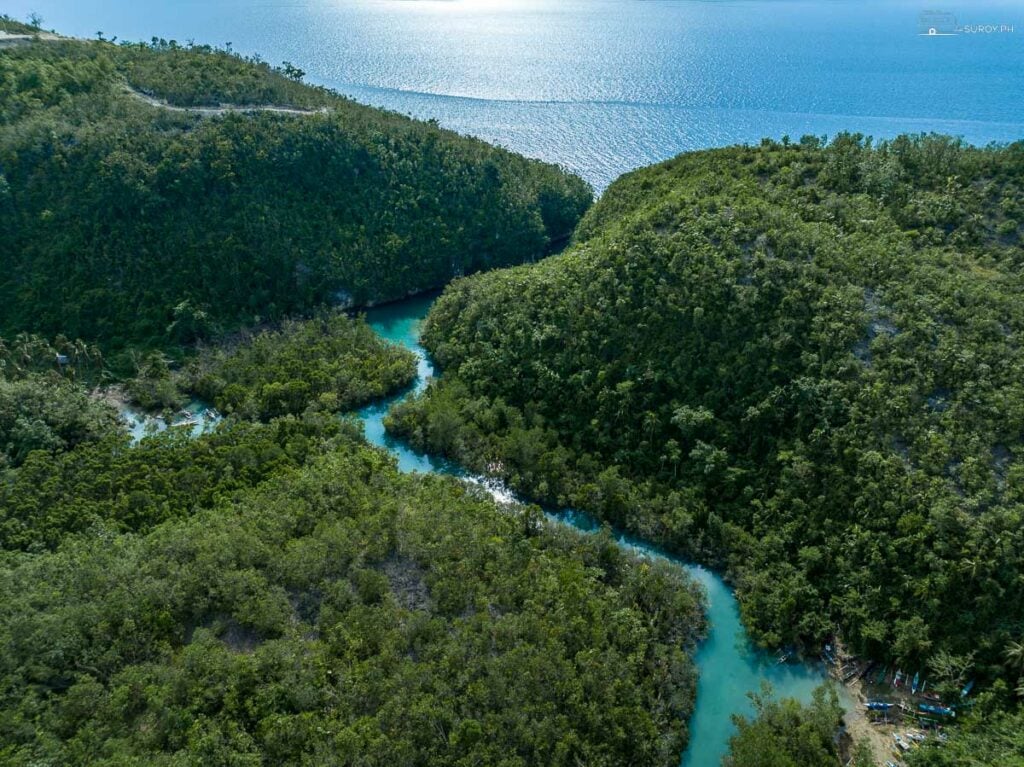 The winding course of Bojo River as it flows towards the sea, surrounded by dense mangroves.