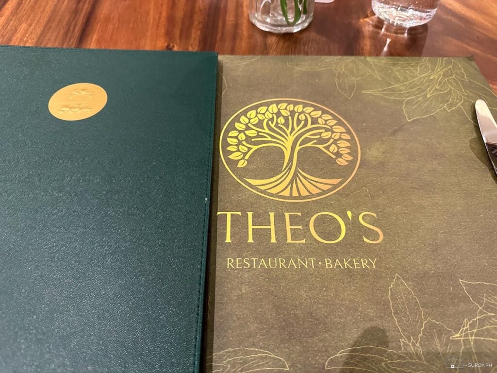 Theos - East Delhi, Noida | Price & Reviews