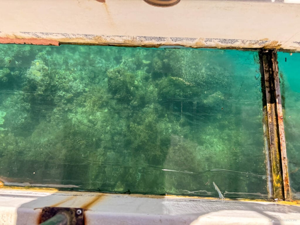 The clear waters of Bojo River reveal the vibrant marine life below through a glass-bottom boat.