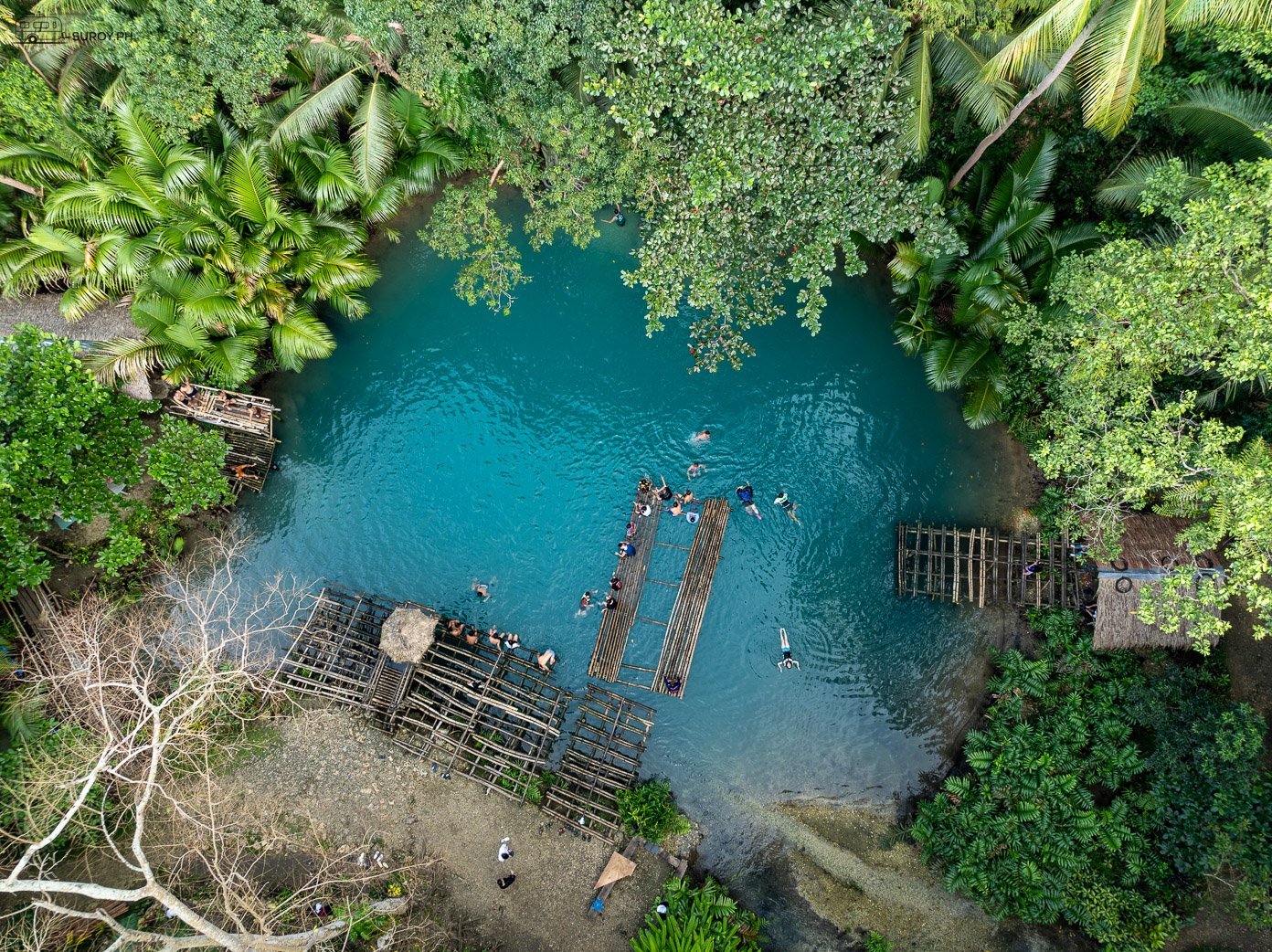 Discover Tuburan Blue Hole Spring: Cebu's Hidden Oasis - Suroy.ph