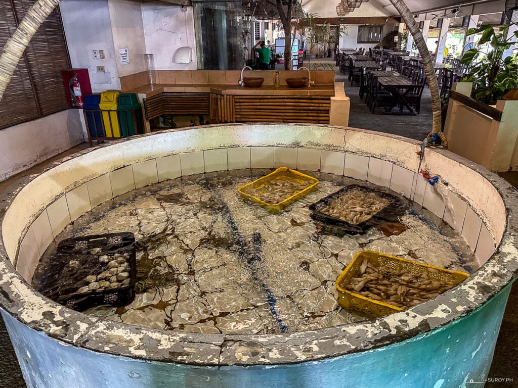 Live Seafood Tanks - A look at the live seafood tanks where the freshest catch is sourced for your meal at Breakthrough Restaurant.