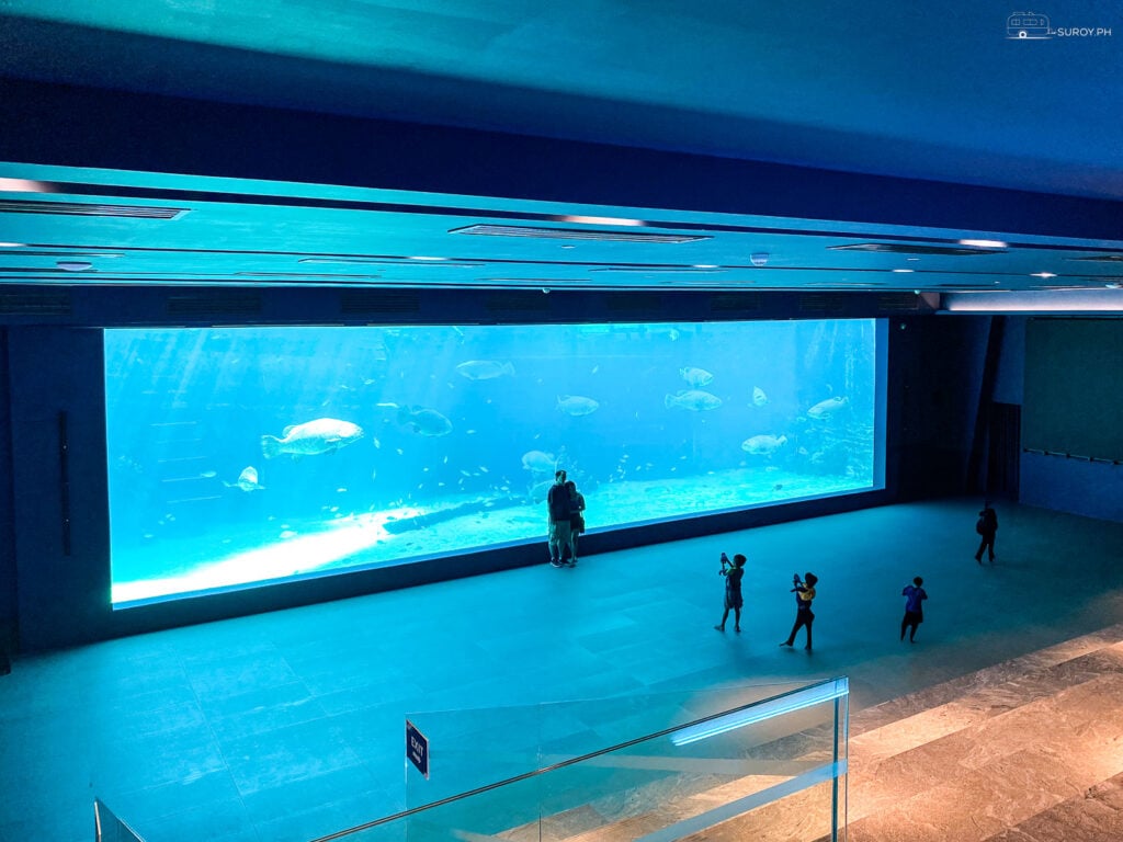 The massive aquarium at Cebu Ocean Park offers panoramic views of diverse marine life.