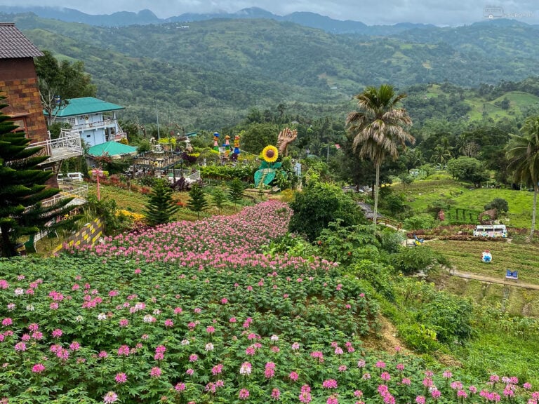 Flower fields are all over Sirao Garden.