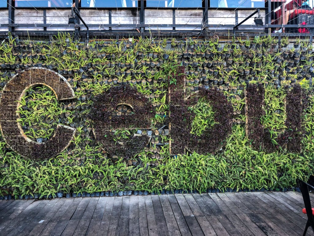 The iconic Cebu wall art made entirely of plants at Top of Cebu Restaurant. A perfect spot for a photo op! 