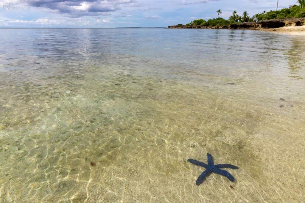 Crystal-clear waters reveal the hidden treasures of Virgin Island.