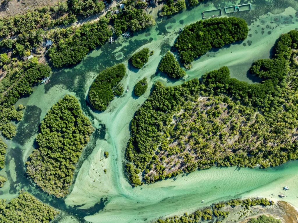 Emerald labyrinth: The intricate waterways weaving through Baigad Lagoon Beach. 