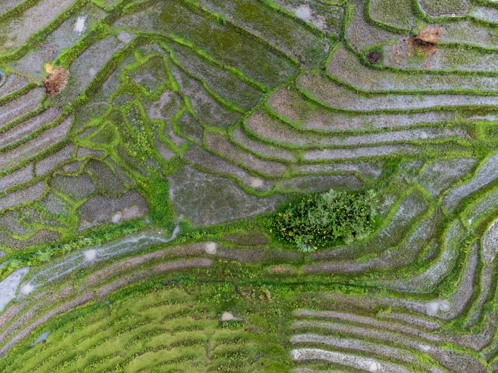Aerial Marvel: An aerial shot showcasing the intricate patterns of the Cadapdapan Rice Terraces, a testament to the ingenuity of local farmers.