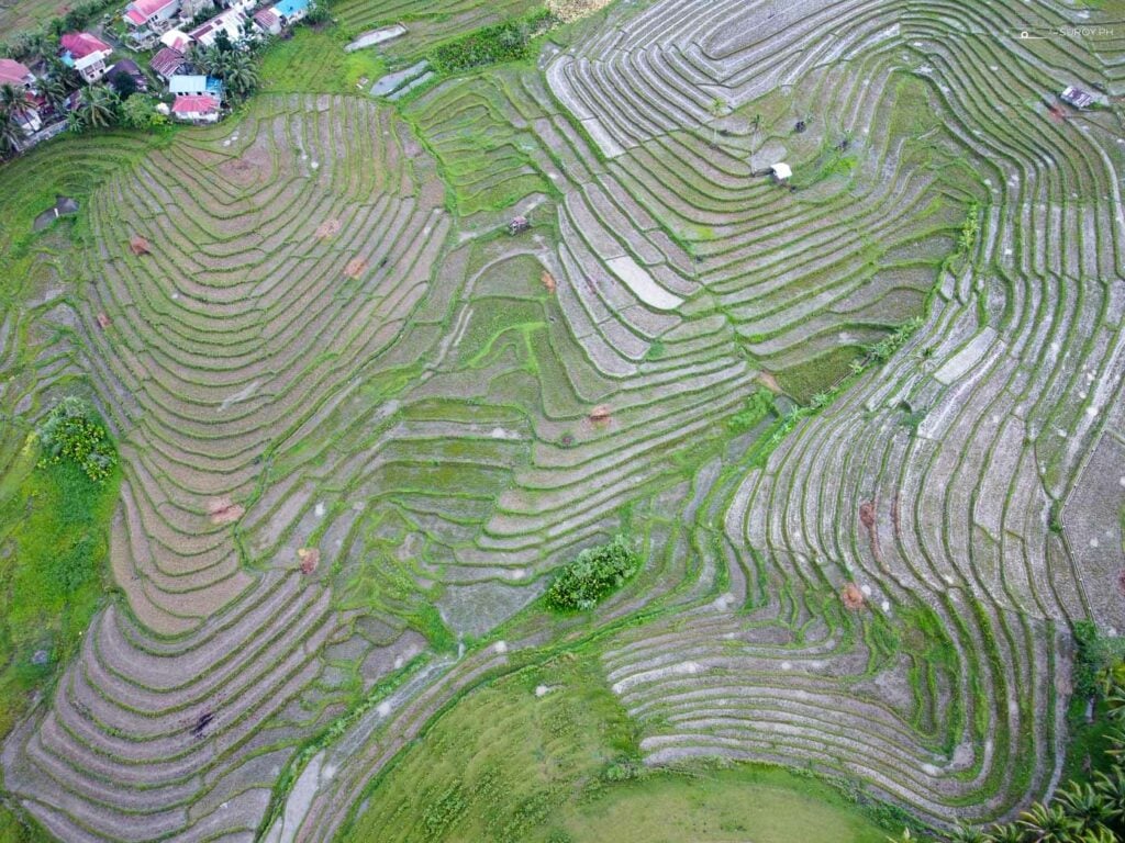 Heart of Bohol: The Cadapdapan Rice Terraces, located in the heart of Bohol, provide a stunning and tranquil escape for nature lovers and adventurers alike.