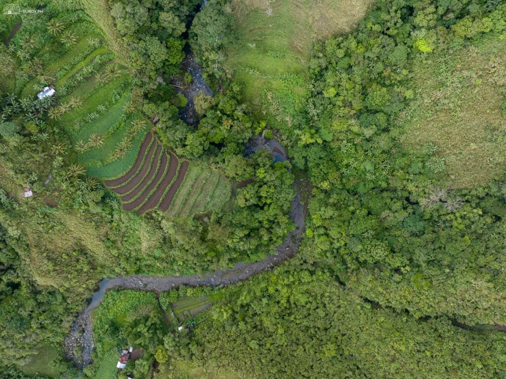 A stunning aerial view of terraced fields and lush forests, showcasing the rich biodiversity and vibrant agricultural landscape of Tubungan and Igbaras.