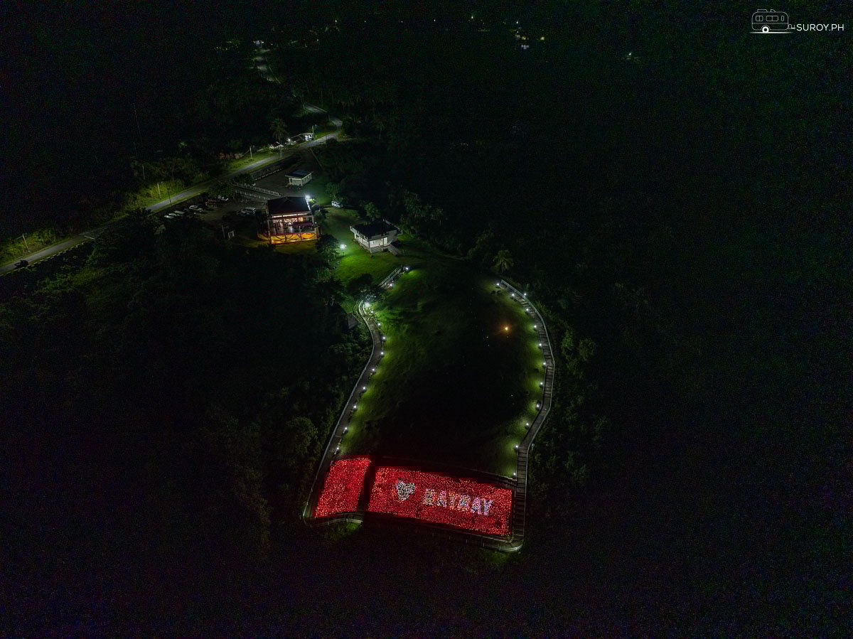 Aerial View of the Blossoms: A stunning aerial shot of the 16,000 Blossoms on Lintaon Peak in Baybay City, highlighting the expansive and beautifully lit garden of lights.