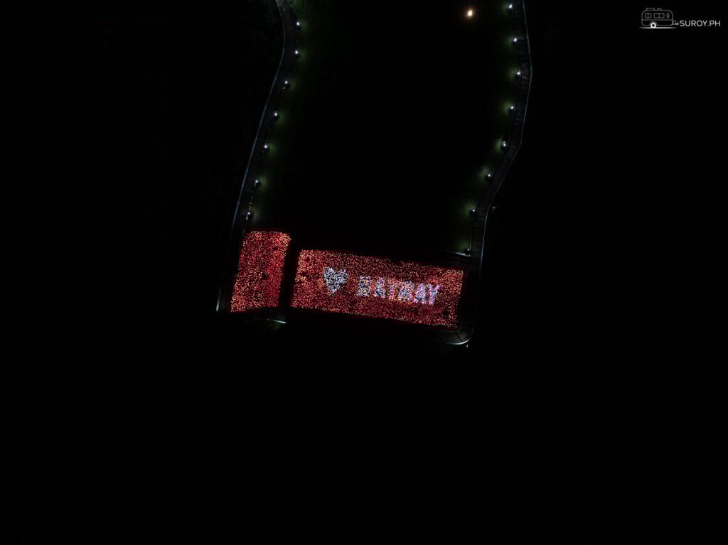 Pathways Lit Up at Night: Beautifully lit pathways around the Lintaon 16,000 Blossoms, guiding visitors through the glowing wonderland.