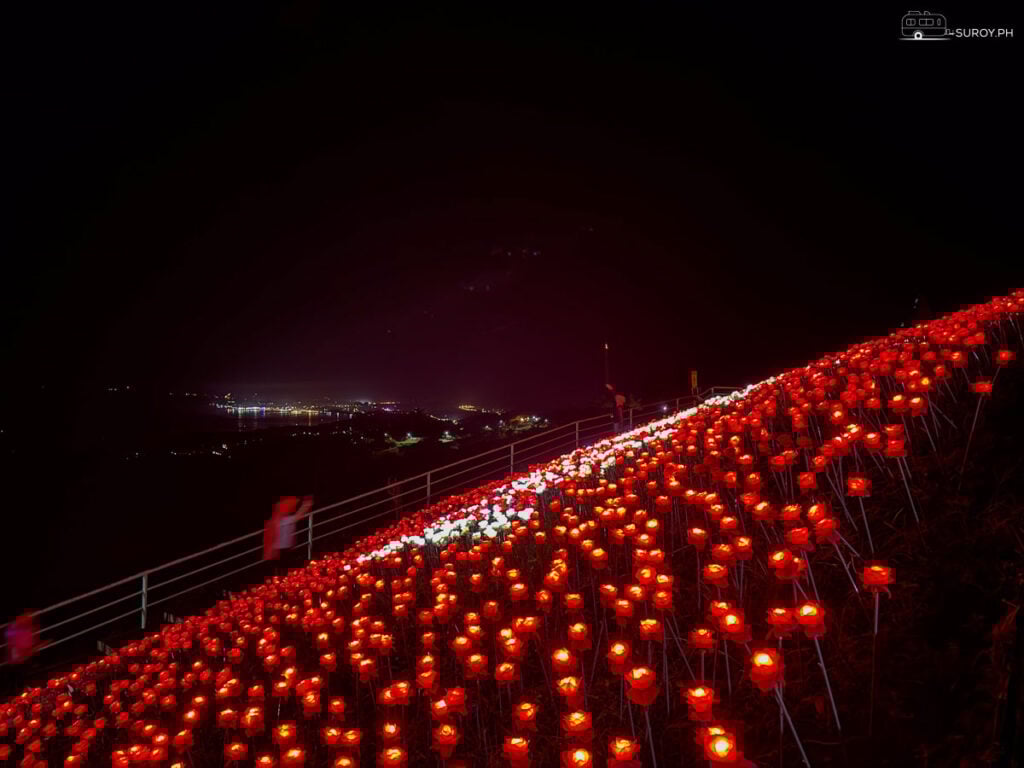View from the Blossoms at Night: The glowing blossoms overlooking the city below provide a spectacular sight with a mix of nature and city lights in the distance.