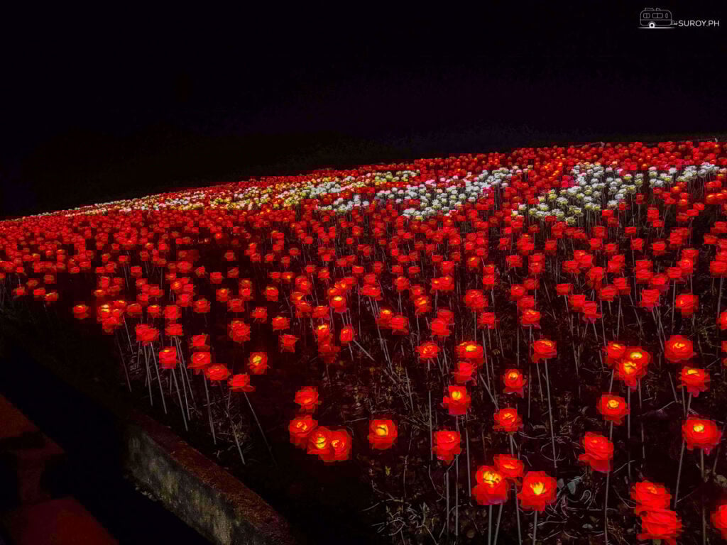 Close-Up of the Blossoms: A close-up view of the glowing LED blossoms, lighting up the hillside in vivid red and white colors.