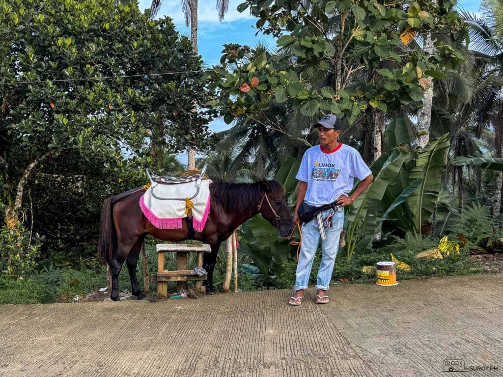 You may also take a horse back going to the IncreDable Café.