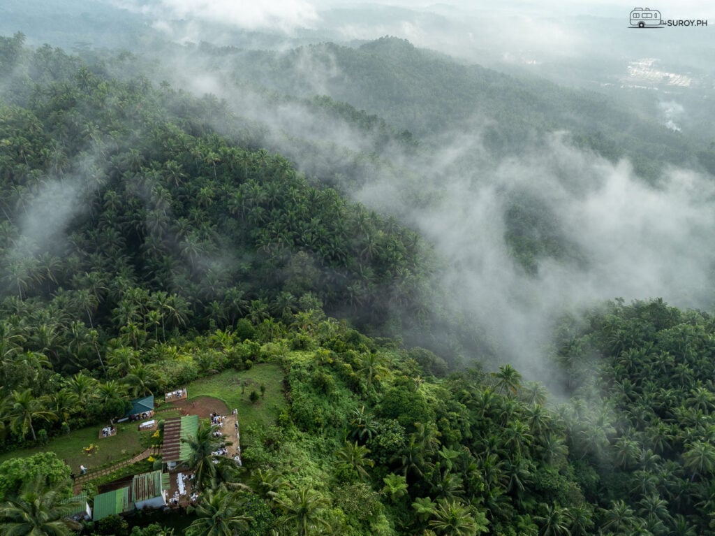Lost in the clouds—an enchanting view from IncreDable Café as the Sea of Clouds embraces the lush forests of Baybay, Leyte.