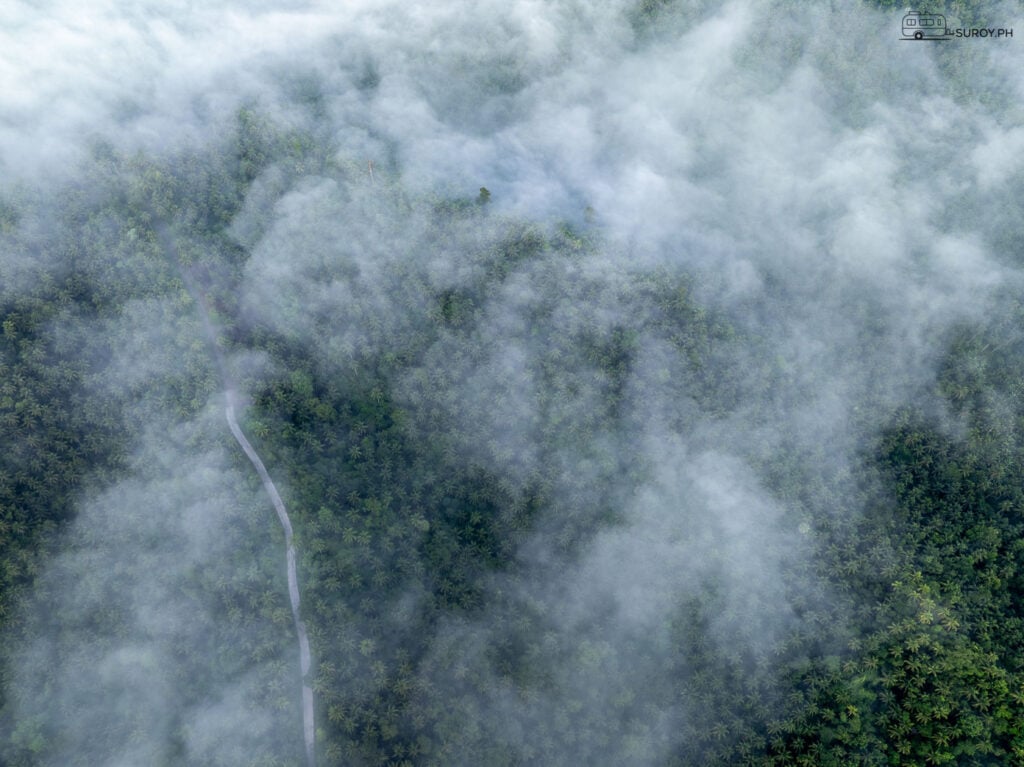 A mystical path through the Sea of Clouds, where the road disappears into a dreamscape.