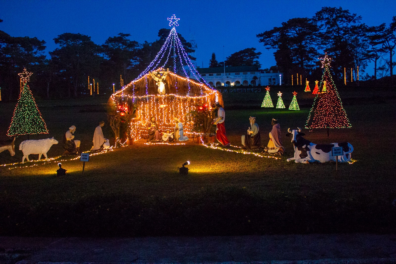 Seasonal Christmas light display in Baguio