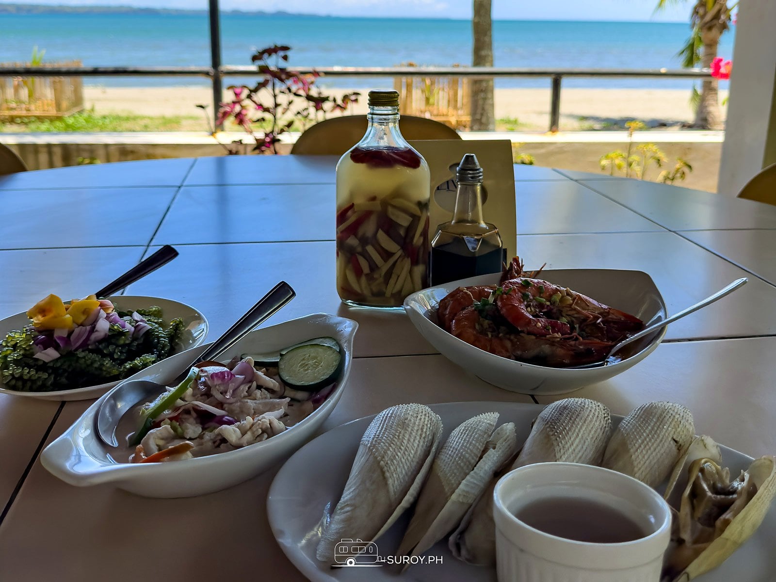 A seafood spread of diwal, kinilaw, lato and prawns on a beachfront table in Iloilo