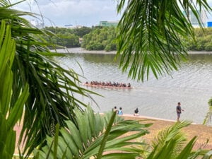Dragon boat crew paddling on the Iloilo River seen through palm fronds from the Esplanade, with people watching from the paved bank