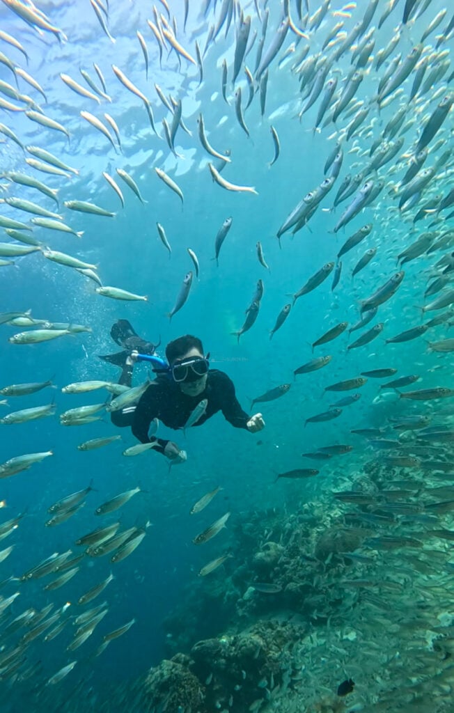 A freediver in a black wetsuit hangs in midwater at Panagsama, surrounded on every side by a dense school of silver sardines, with coral visible far below.