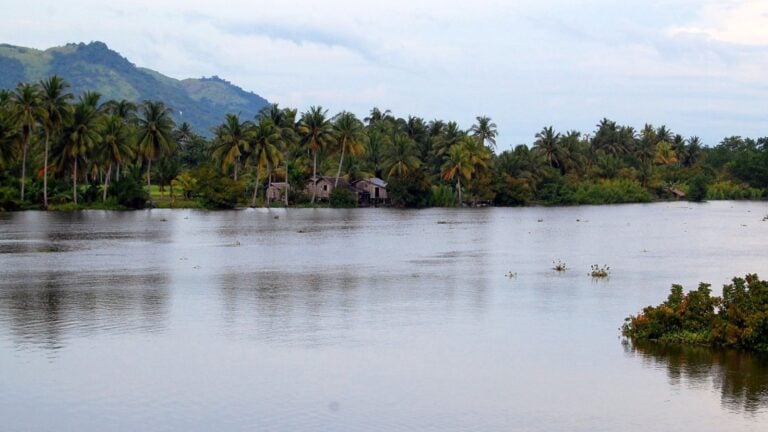 Rio Grande de Mindanao flowing past palms and riverside homes in Cotabato City