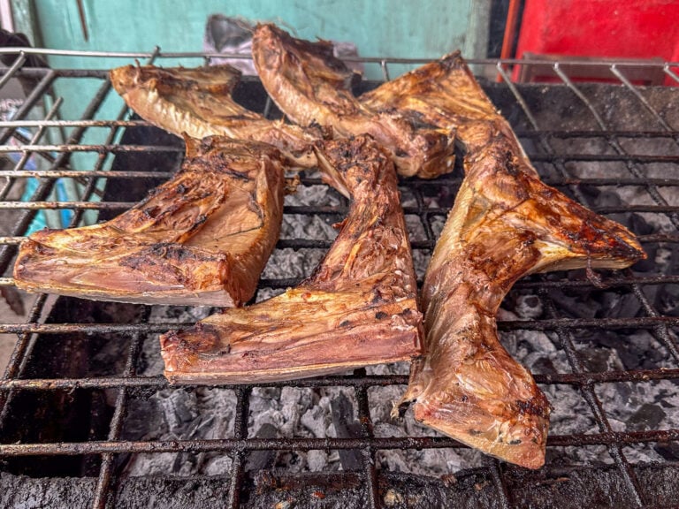 Six tuna jaws laid across a charcoal grate over grey coals, skin blistered and gold, against a mint green wall