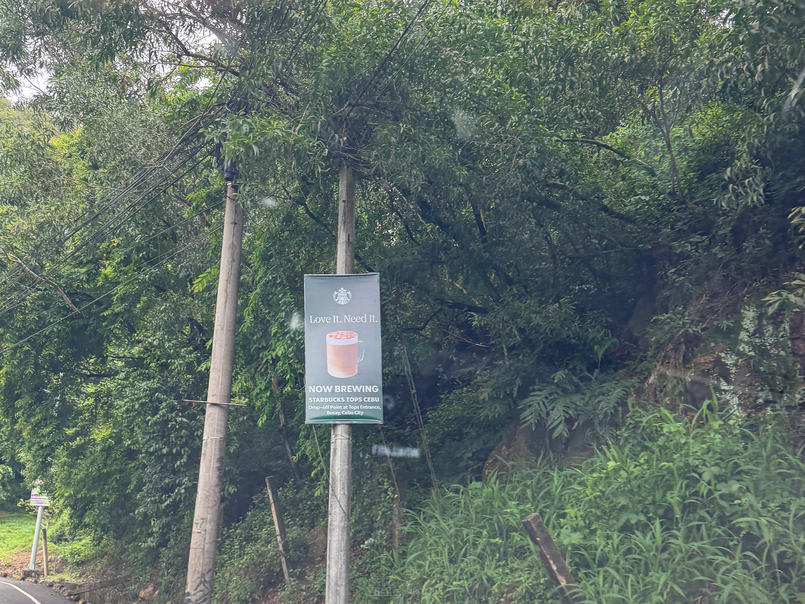 Roadside sign on a post showing a Starbucks drink, among trees and grass on Tops Road in Busay